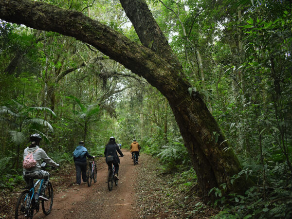 Bike Poço Preto (Cataratas Brasil) - Image 2