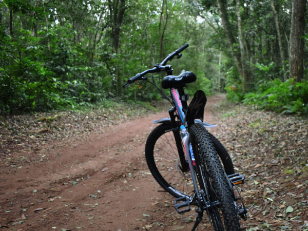 Bike Poço Preto (Cataratas Brasil) - Image 6