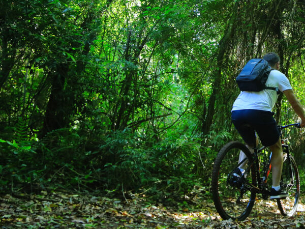 Bike Poço Preto (Cataratas Brasil) - Image 8