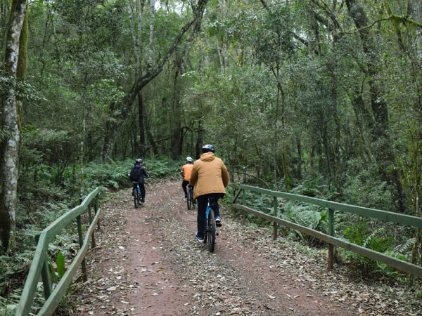 Bike Poço Preto (Cataratas Brasil) - Image 9