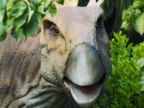 Vale dos Dinossauros (Dreams Park) - Image 3